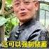 出大事了 如果你还不知道个人养老金是什么 一定要看完这条视频 个人养老金 个人养老金制度有何重要意义 养老金 财经 社保