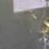 Placebo Without You I M Nothing Live In Moscow 22 05 07