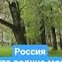 Россия это родина моя