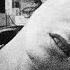Sid Vicious My Way 1978 HQ