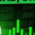 Social Trading The Easiest Way To Start Earning