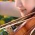 Apples From Mars She Is The One Downtempo Version