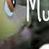 Maps LPS Full MV