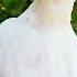 Aseellovers Aseelmurga Asealmurga Birds Art Aseelmurgalover Heera Aseel Pakisteni Aseel Amro
