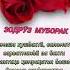 Зодруз муборак