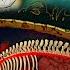 Sad Documentary About A Baby Whale In A Deadly Alien Sea South Scrimshaw
