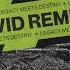 Hardwell Joey Dale Feat Luciana Arcadia VIVID Remix