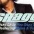 Shaggy Hey Sexy Lady Soulfulx Rmx