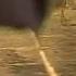 Hot Dip Galvanized Steel What How Where