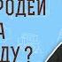 Откуда чародеи Египта взяли воду Исх 7 20 22 Протоиерей Олег Стеняев