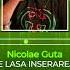 Nicolae Guta Cand Se Lasa Inseararea LIVE RMX 2025 Manele