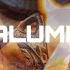 Chalumeau Freestyle