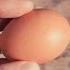How To Correctly Crack Open An Egg
