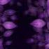 Tuesday Glitch Soft Hip Hop By Amaksi Music Short Cartoon Plants Branches Glitch
