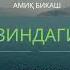 зиндаги
