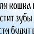 Анекдоты про Животных про Кошек и Собак про Попугая Короткие юморные фразы в Картинках