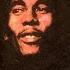 Bob Marley Iron Lion Zion Instrumental 432hz