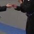 Steven Seagal Aikido Techniques IRL