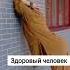 Простое упражнение для здоровья спины шеи и плеч растяжка цигун больвшее