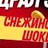Самвел Адамян Шупа метит не только в столицу Вторая молодость и франзузский поцелуй для Надюхи