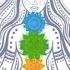 What Is A Chakra Through The Lens Of A Yogi Yoga With Concha