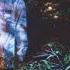 Pharaoh Phlow Iso Feat I61 Lyrics