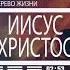 Жить в Твоей реальности Церковь Дерево Жизни Ростов на Дону