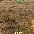 Cracked Corn Vs Whole Corn Which Do They Prefer Let S Find Out Trail Camera