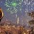 Warframe The Plains Of Eidolon Mining Bounty Hunting Warframe Gameplay Highlights