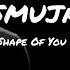 Ed Sheeran Shape Of You Smuja Remix