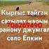 Кыргыз тайган