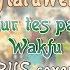 HaruWei Sur Tes Pas RUS Cover Wakfu