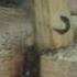 How To Make A Fire Using Sticks