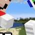 I Remade Mario Vs Sonic In Minecraft