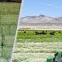 Harvesting Hay To Feed Our Cattle What Makes For High Quality Alfalfa Hay