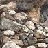 Challenge Giant Rocks Weighing Tens Of Thousands Of Tons In The Wild