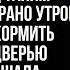 Дед Лиды оставил ей необычное наследство дачу и кур Но когда она подслушала мужа и дачную соседку