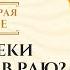 Какие реки и напитки в Раю Описание Рая в Исламе Ясир Кады