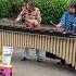 Japan Traditional Music Tokyo Travel Explore Shorts