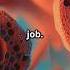 Lysosomes The Suicidal Bags Of Cells Science Facts Didyouknow Biology Sciencefacts Viral