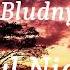Alan Walker Feat Bludnymph Beautiful Nightmare Lyrics