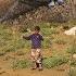Nomadic Life A Nomadic Family S Struggle For Survival Nomadic Animal Husbandry And Agriculture