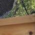 Checking Our Bees Hive Inspection Day