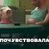 Свинка Пеппа убила родителей фильм сериал кино мультик