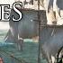 Shanties From AC4 Black Flag The Longest Johns Supercut Playlist