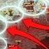 Donbas Not Istanbul Russia Chooses War Mapped