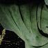 Padre Guilherme Cristo Redentor Rio De Janeiro Brasil DJ Set 16 01 2025