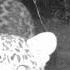 Free Osamason Flex Music Ken Carson Tye Beat P Sippinmist Wowthisissouzi Sk1pa