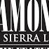 Diamonds From Sierra Leone Remix Feat Jay Z