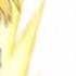 Len S Growl Gacha Club